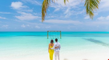 Il Paradiso non puo' attendere