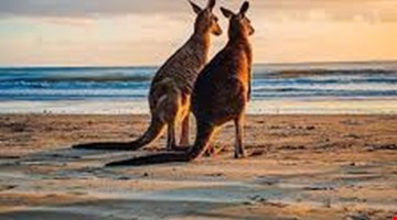 Cieli d'Australia e smeraldi Maldiviani