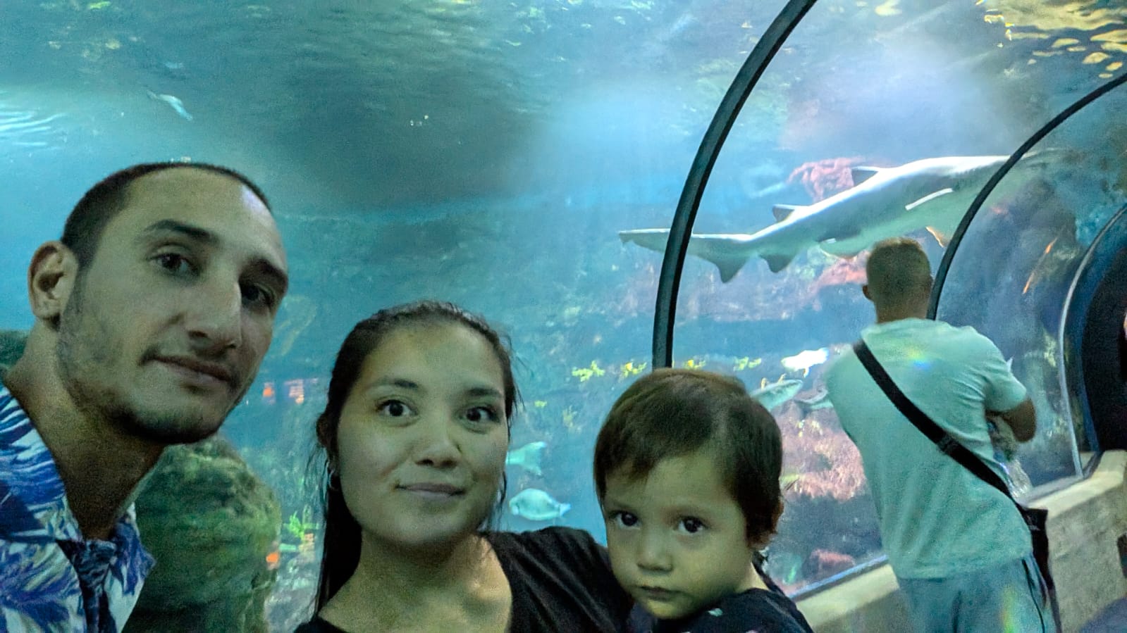 Il Cielo in una Stanza 